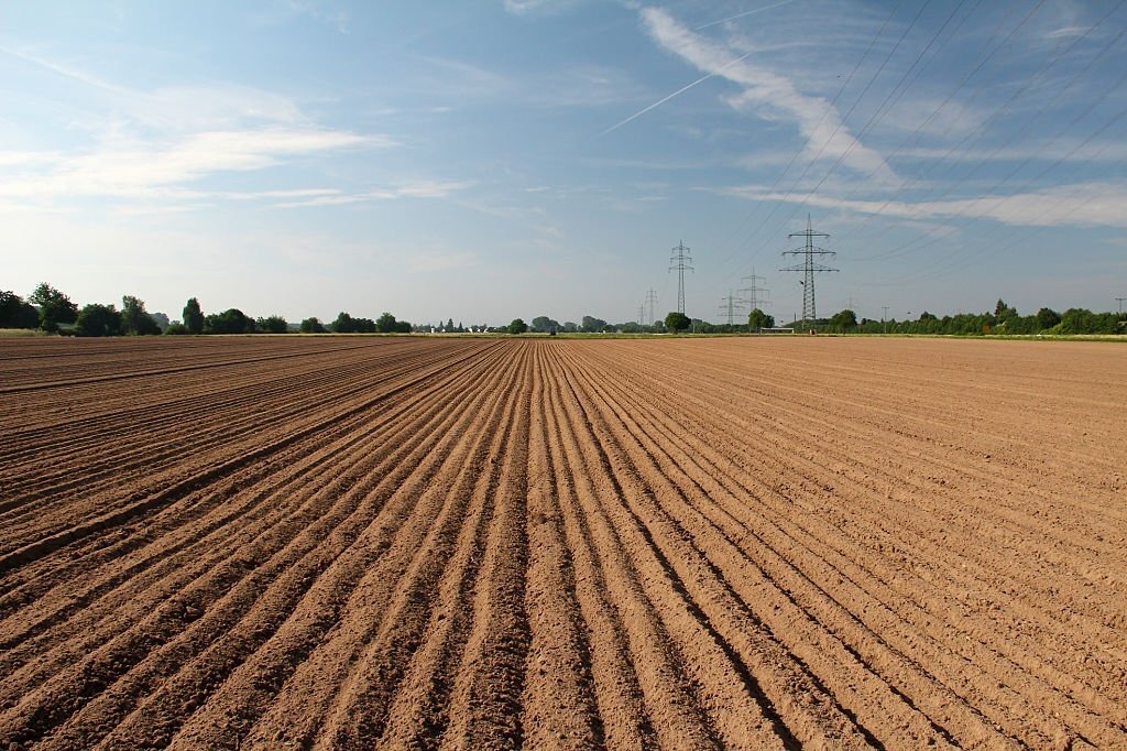  O período será de 27 de junho Datas para o vazio sanitário da soja em Goiás são divulgadas a 24 de setembro