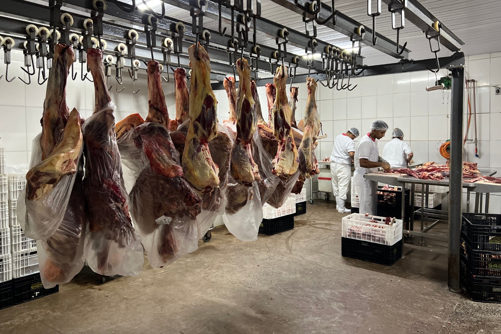 MPGO: Ação de execução de TAC não cumprido integralmente por comércios de carnes em Catalão