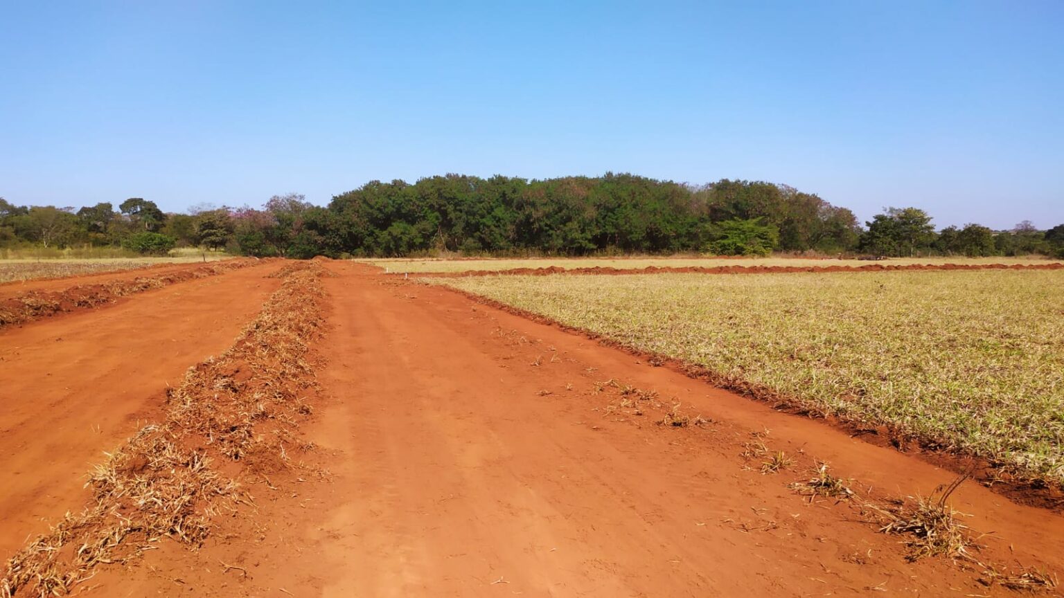 Prefeitura de Inaciolândia inicia obras para doação de lotes no Bairro Feliz II