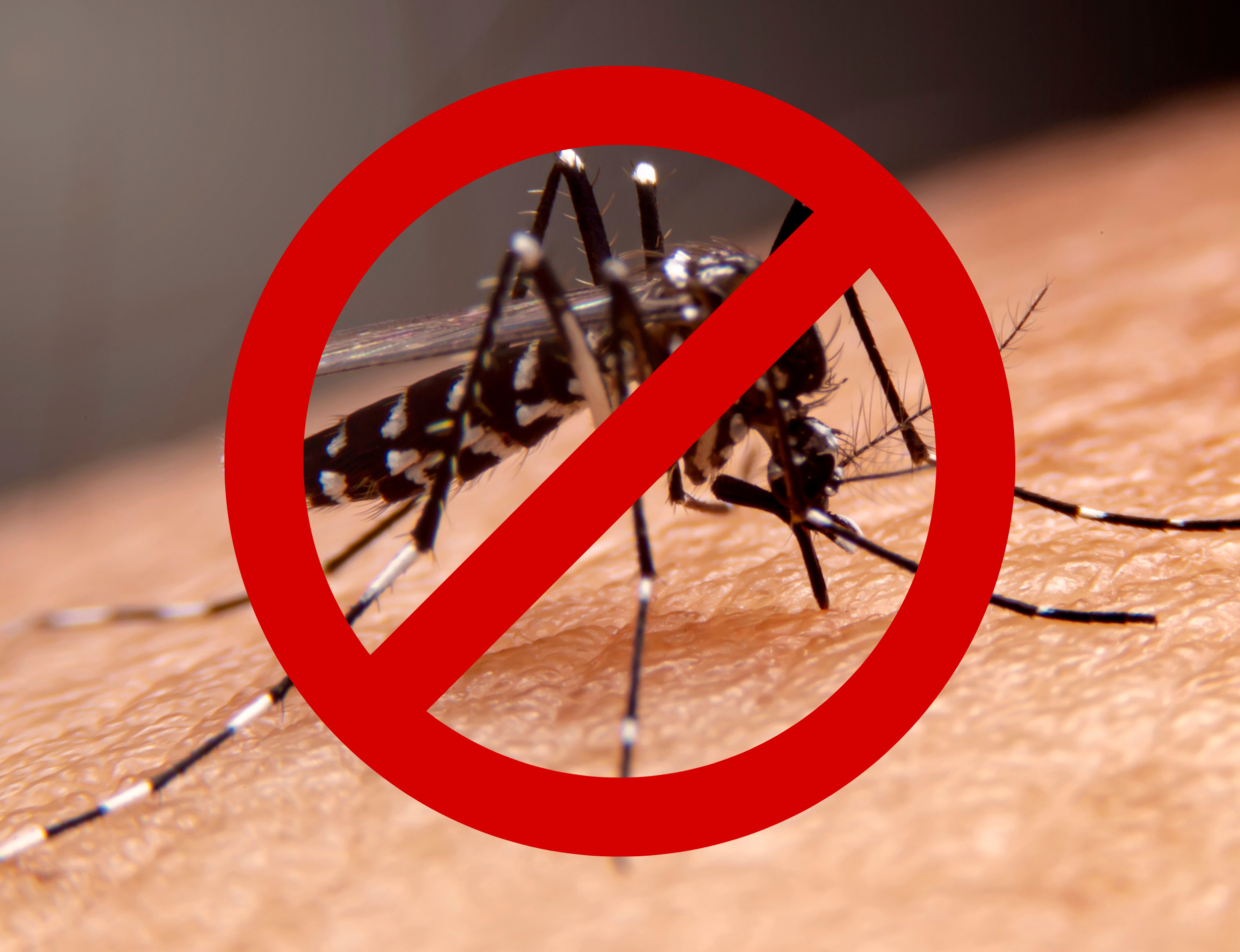 Goiânia reduz em 98% número de óbitos por dengue no primeiro semestre de 2023