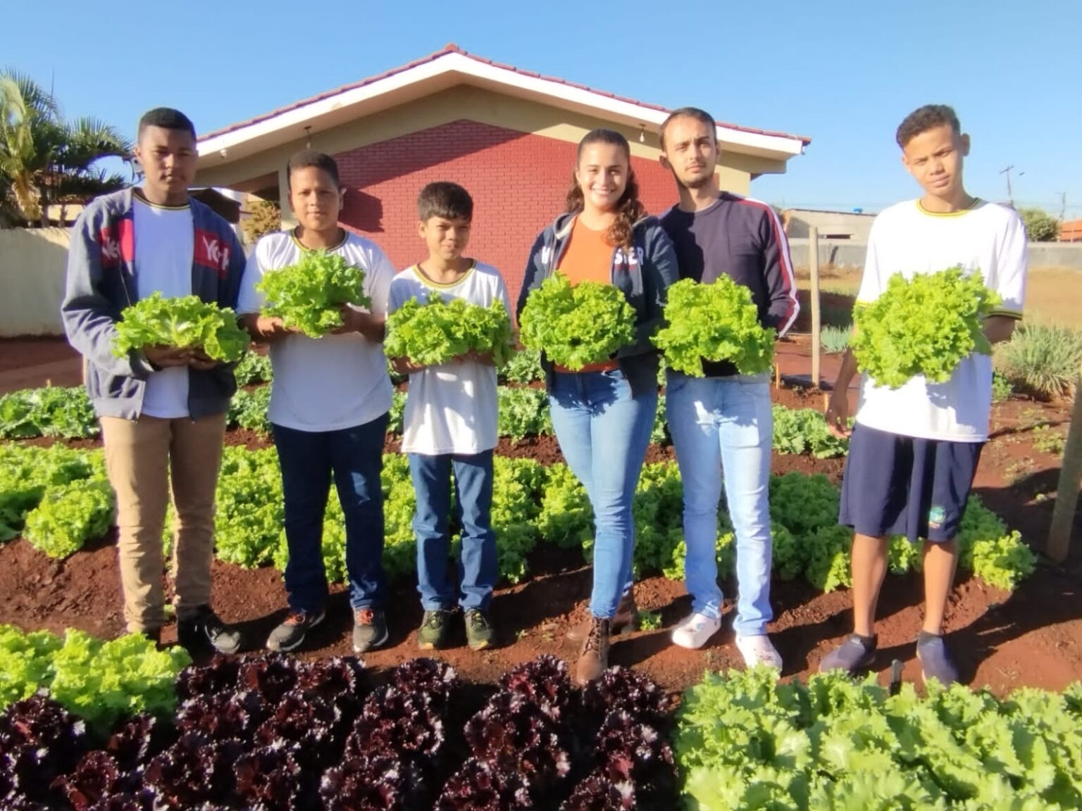 Educação fornece 800 mil merendas por dia a estudantes