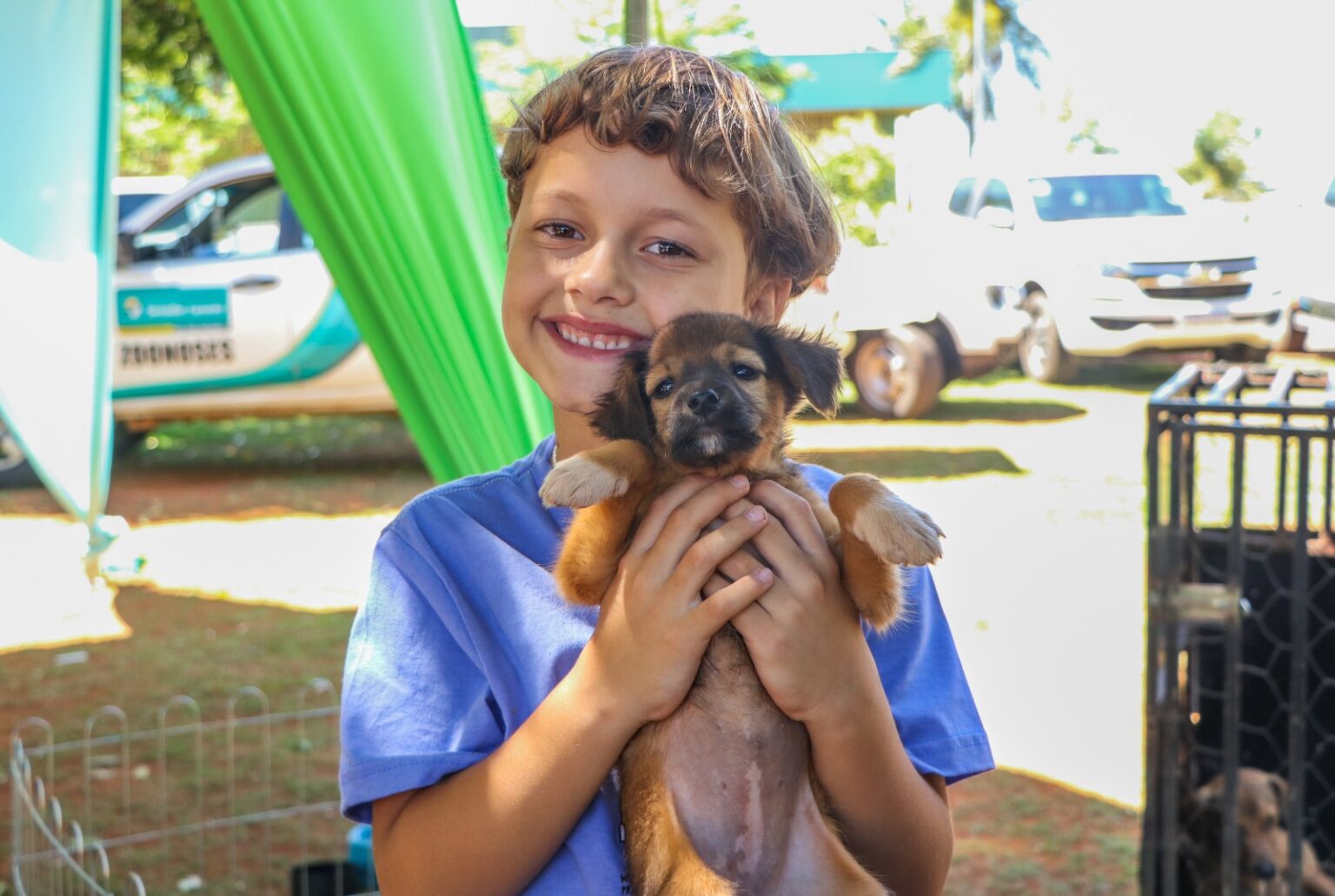 Senador Canedo realiza Dia D de Vacinação Antirrábica
