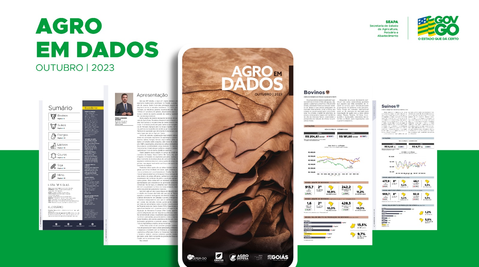 Em sua edição de outubro, Agro em Dados traça panorama da produção de couros em Goiás