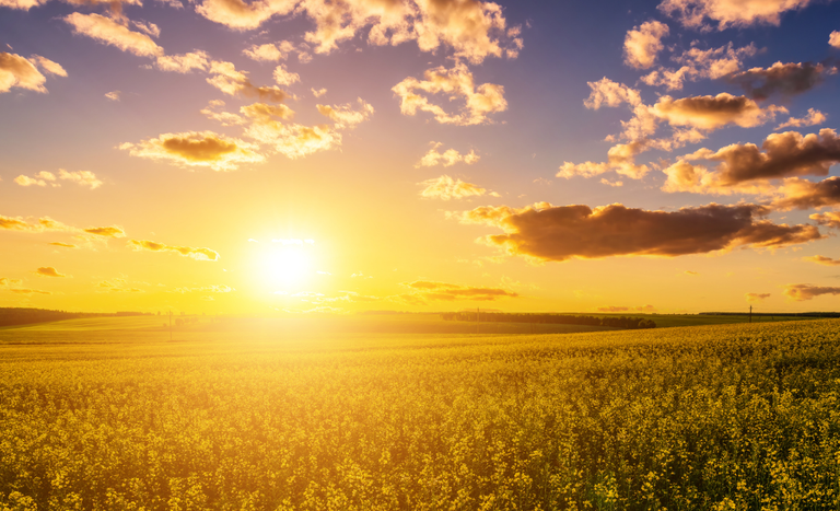 PREVISÃO DO TEMPO: Inmet emite alerta para onda de calor nos próximos dias