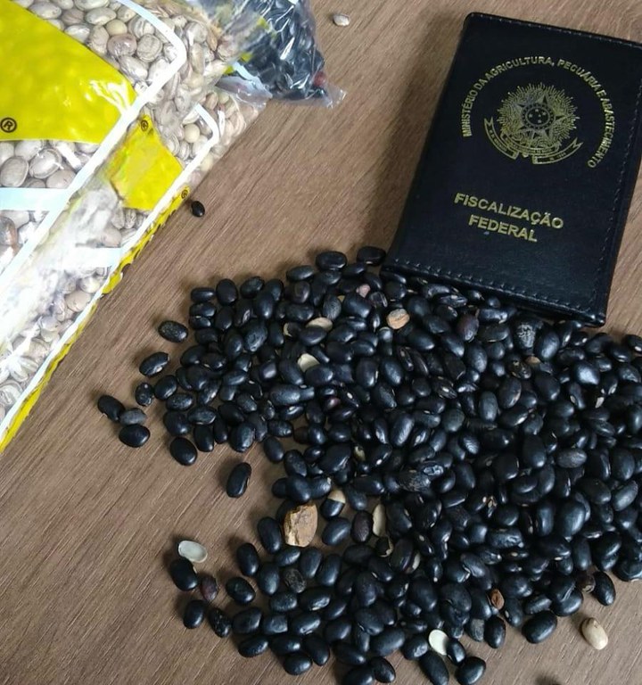 FISCALIZAÇÃO: Mapa apreende 6 mil garrafas de azeite de oliva falsificado e 28 toneladas de feijão com impurezas em São Paulo