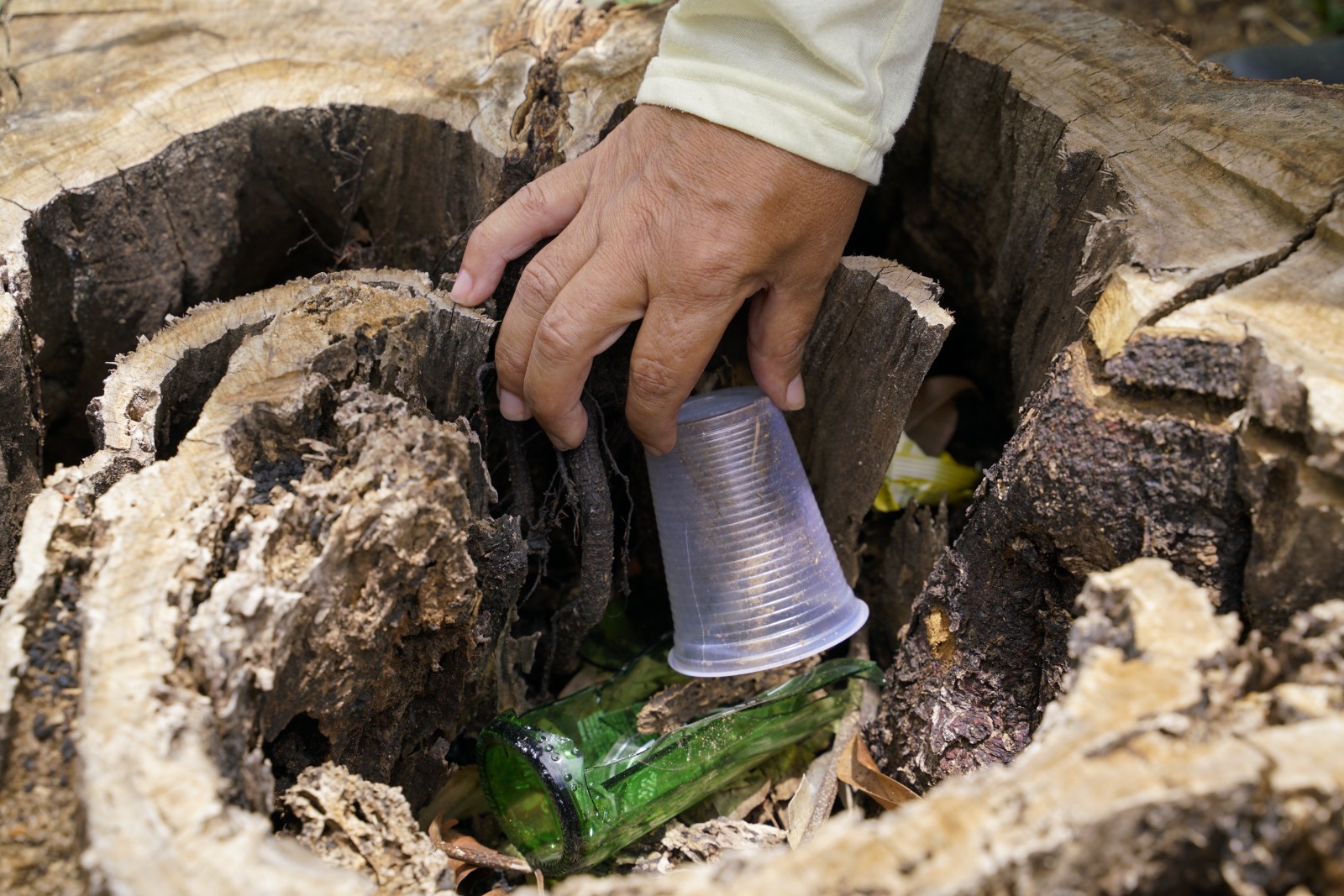 Governo de Goiás reforça combate ao Aedes Aegypti
