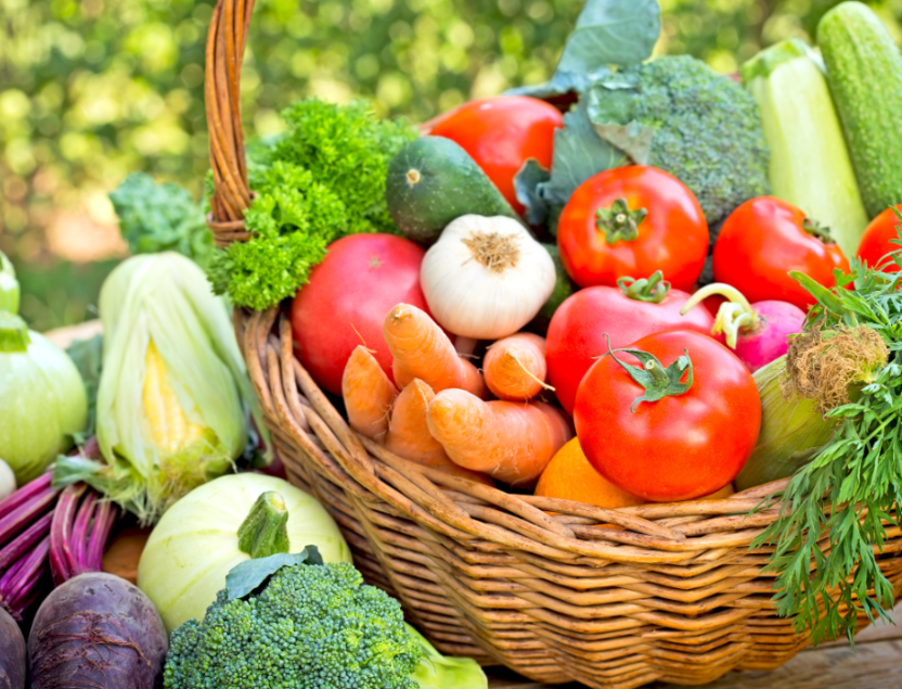 Lula sanciona com vetos Projeto de Lei dos Agrotóxicos