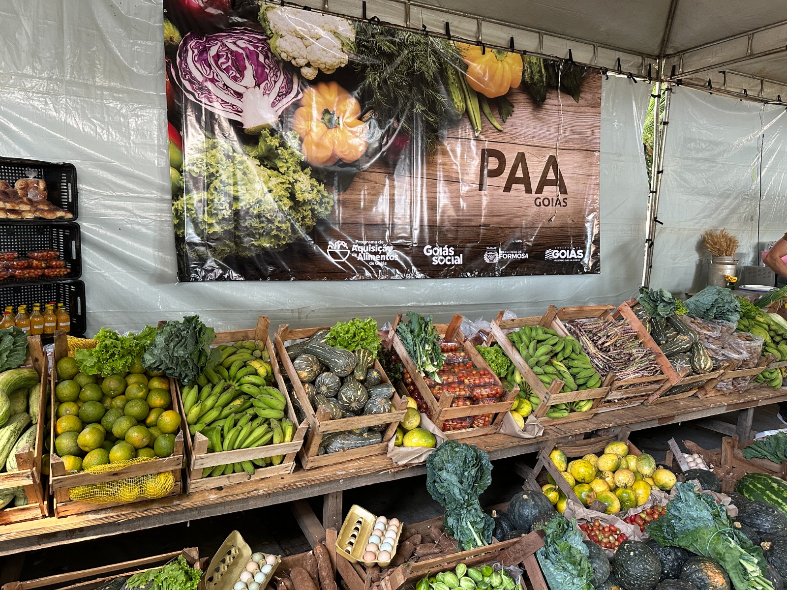 PAA Goiás 2023 investe R$ 12 milhões no fomento da agricultura familiar