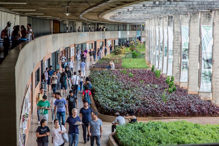 Mais de 253 mil pessoas já foram beneficiadas pelo Desenrola FIES em todo o Brasil