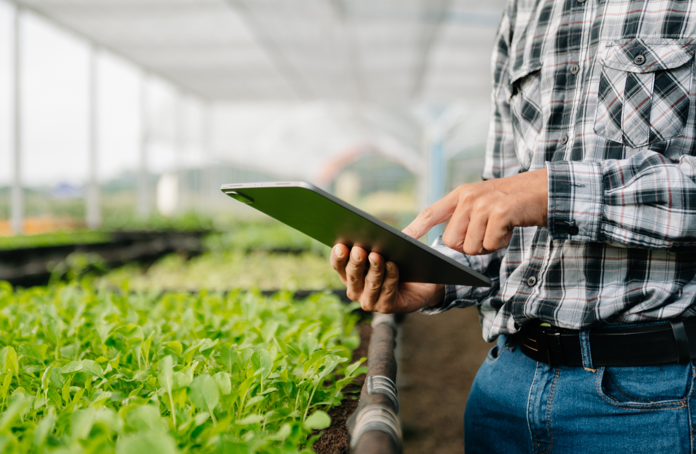 Produtor passará a emitir nota fiscal avulsa