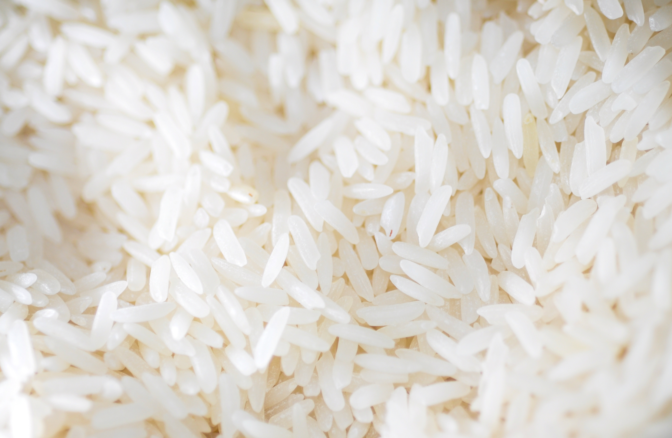 Conab compra 263,3 mil toneladas de arroz importado em leilão