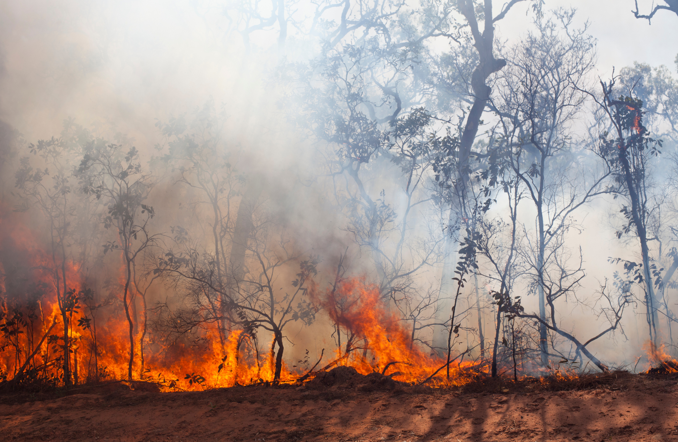 Quase 1/4 do território brasileiro pegou fogo nos últimos 40 anos