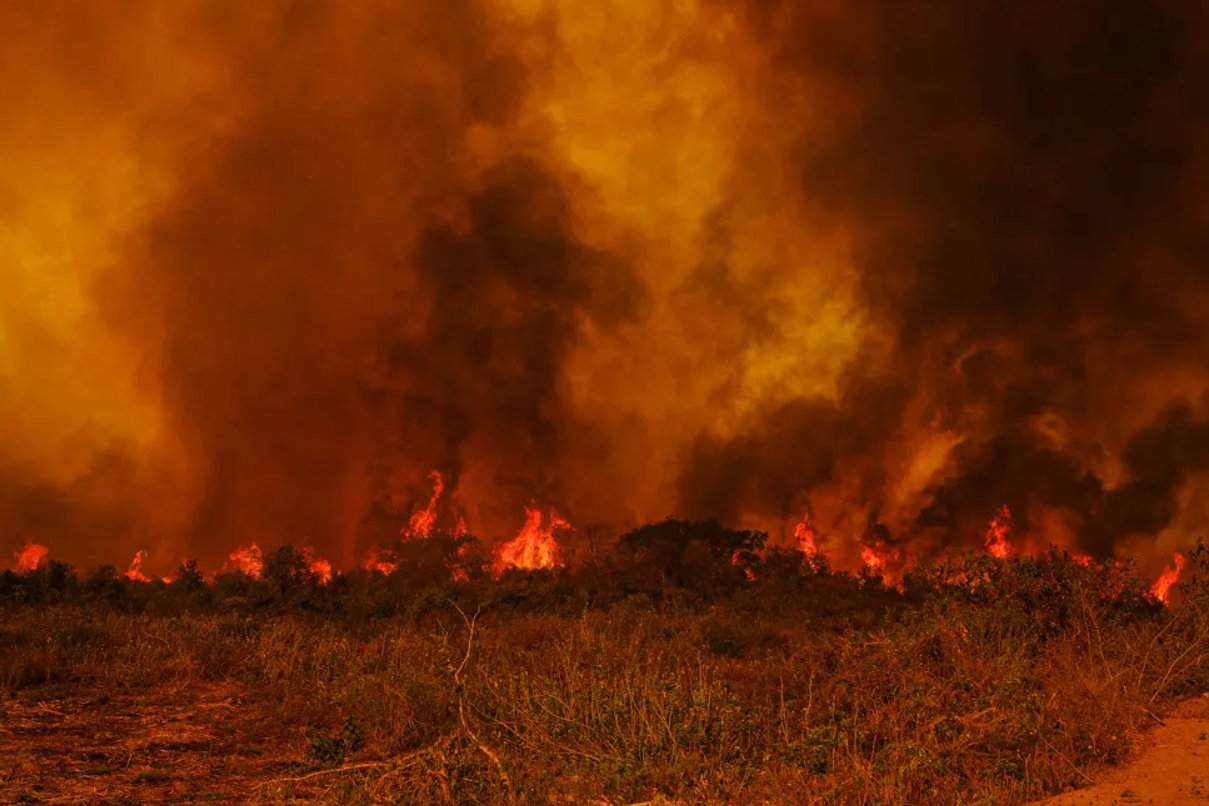 Pantanal: 85% dos incêndios ocorrem em terras privadas, diz Marina