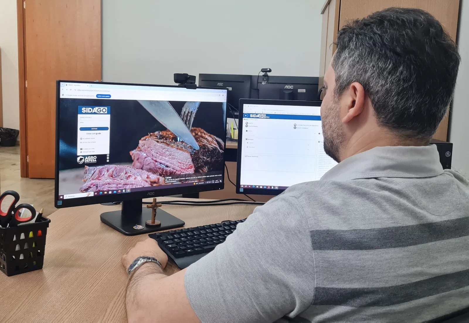 Cadastro de Médicos Veterinários no Sidago é obrigatório para vacinação contra brucelose