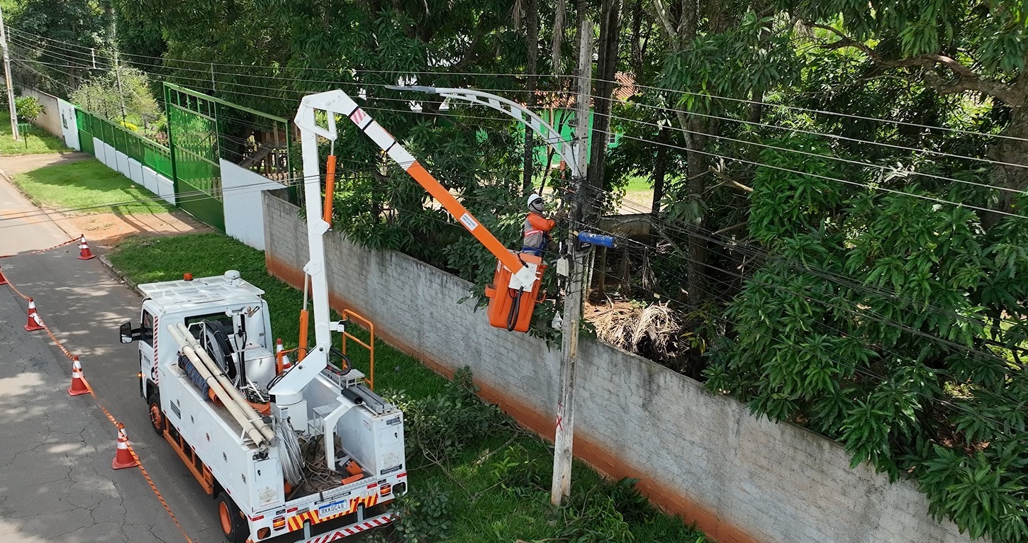 Podas de árvores: saiba o que fazer quando galhos estão próximos ou em contato com rede elétrica
