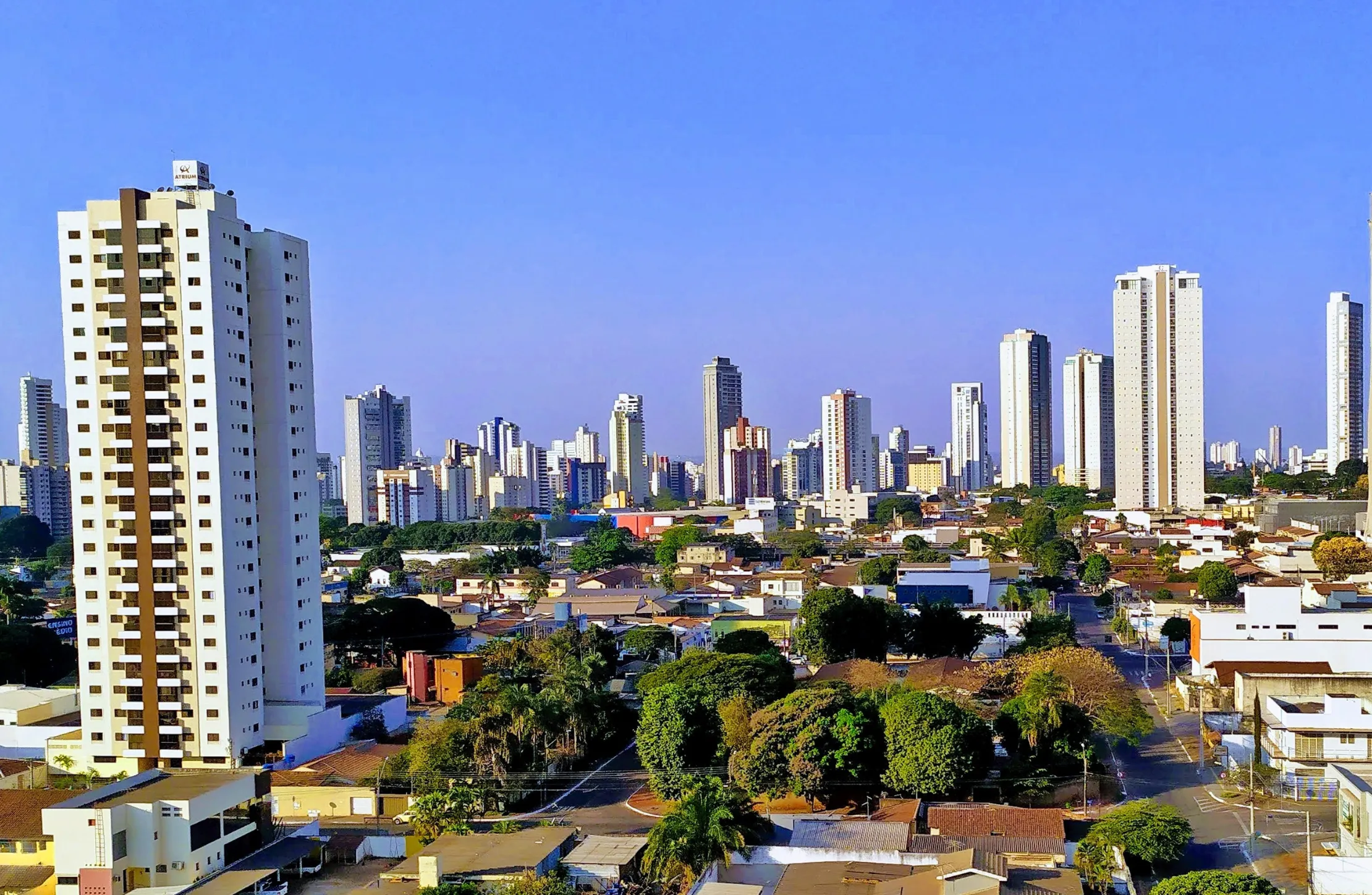 Adriana Accorsi lidera na capital