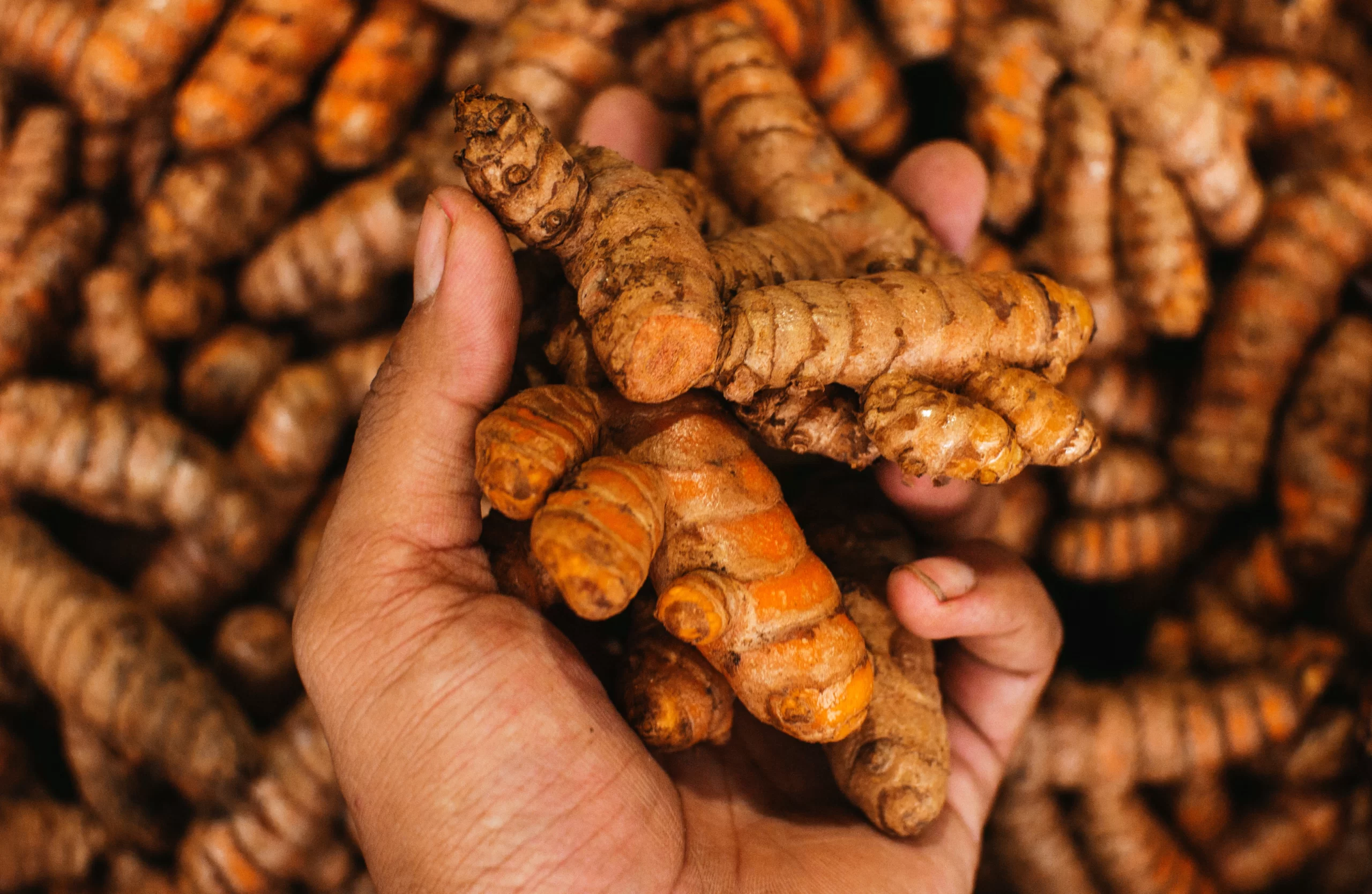 Especiarias: aliadas da saúde ou mitos?