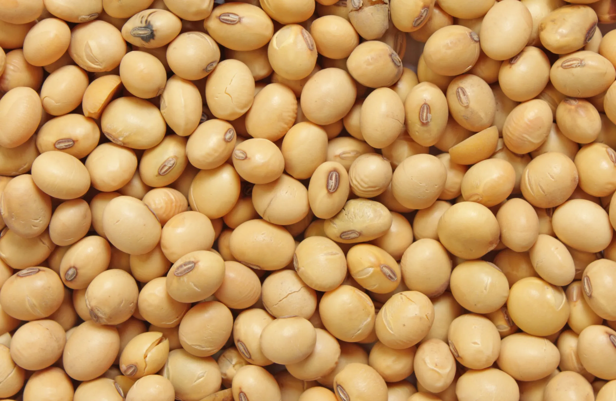 PIB goiano cresce 8% em setembro