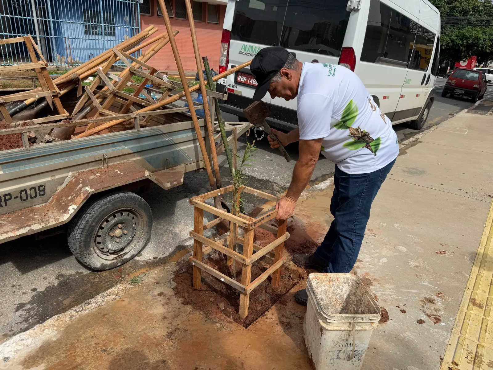 Centro de Goiânia recebe mais de 100 mudas novas